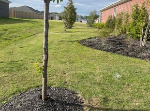Stacie N.'s Yard Cutting service result