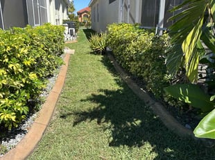 Kenneth H.'s Lawn Mowing service result