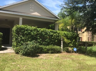 Bush Trimming by Melani Brown for Tee O. in Apopka, FL