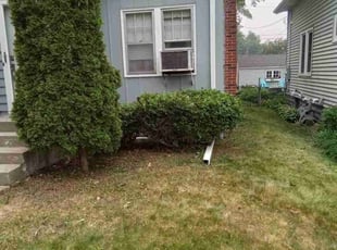 Bush Trimming by Alan Bjerke for Connie G. in Saint Paul, MN