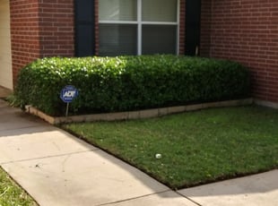 Bush Trimming by Gary Evans for Brandinn O. in Fort Worth, TX