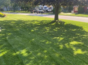 Ken s.'s Lawn Mowing Service service result