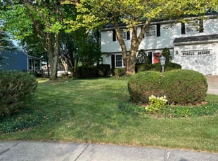 Rhonda Q.'s Lawn Mowing service result
