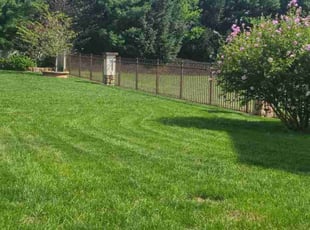 Tena G.'s Lawn Care service result