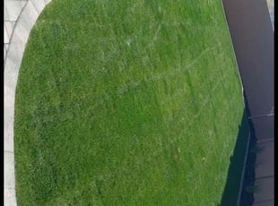 Kobby A.'s Lawn Service service result