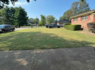 Claudine H.'s Lawn Mowing service result