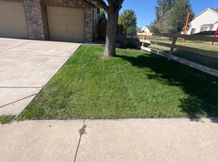 Martin R.'s Lawn Service service result