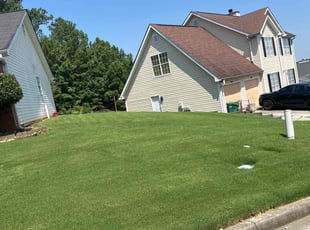 Andrea B.'s Lawn Care service result