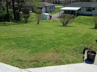 Adrian W.'s Lawn Care service result