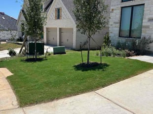 Fany C.'s Lawn Mowing service result