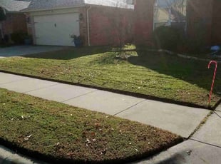 Alexander T.'s Grass Cutting service result