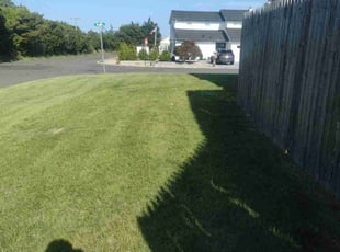 Riel S.'s Lawn Service service result