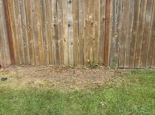 Bush Trimming by John Faccone for Kristi W. in Tacoma, WA