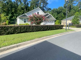 Bush Trimming by Ronald Wade for Tommy p. in Tallahassee, FL