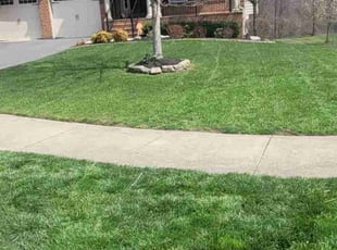 Madeleine W.'s Lawn Maintenance service result