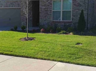 Sandra B.'s Yard Cutting service result