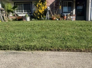 Sandi D.'s Lawn Maintenance service result