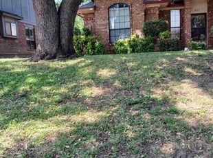 Cleanups by Valente Alvarado for VINCENT M. in Carrollton, TX
