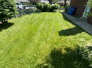 Thomas B.'s Lawn Mowing service result