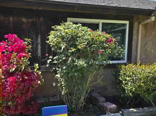 Bush Trimming by Ricky Garcia for Stephanie S. in Riverside, CA