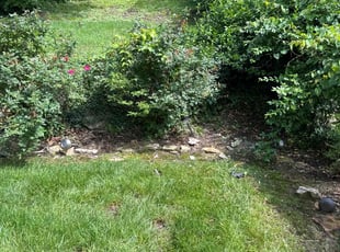 Weeding by Melvin Pryor for Stephanie R. in Nashville, TN