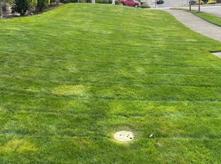 Jennifer T.'s Lawn Mowing service result