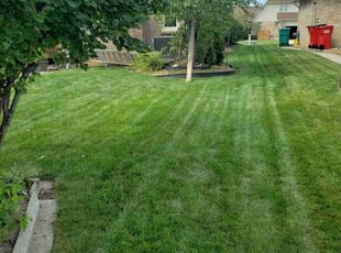 Nick K.'s Lawn Mowing service result