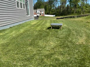 Carolyn H.'s Lawn Care service result