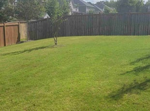 Jared S.'s Lawn Mowing Service service result