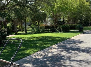 Kathi C.'s Lawn Mowing service result