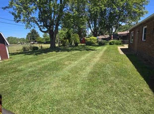Ravi P S.'s Lawn Service service result