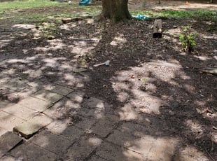 Leaf Removal by Jose Perez for Nikki B. in Houston, TX