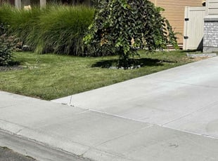 Bianca S.'s Grass Cutting service result