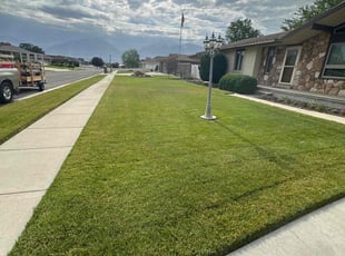 Elena G.'s Yard Cutting service result