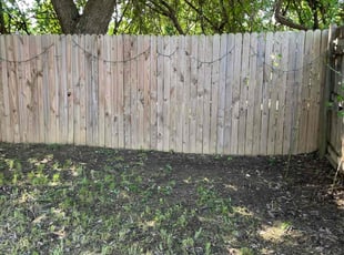 Leaf Removal by Severa Rosie Lara for Erica B. in Mansfield, TX