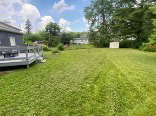 Cleanups by Kiare Salaam for Emily H. in Indianapolis, IN
