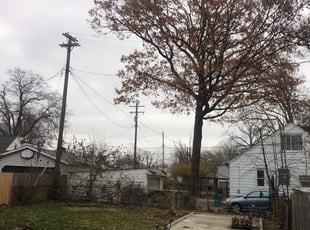 Leaf Removal by Demetrius Bennett Jr for Jonathan B. in Cleveland, OH