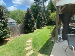 Patricia D.'s Grass Cutting service result