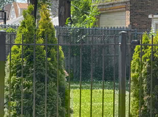 Cleanups by Jordan Eldridge for Tracey S. in Chicago, IL