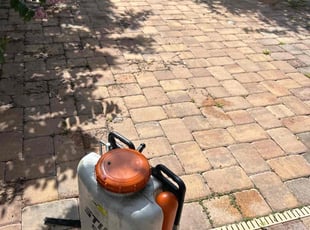 Weeding by Carlton Calloway for Coty m. in Seffner, FL