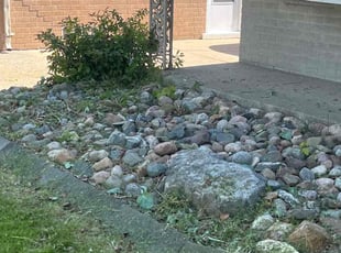 Weeding by Sean Spadafore for Teeka H. in St. Clair Shores, MI
