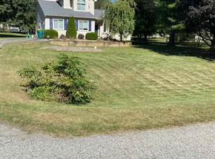 Becky B.'s Lawn Mowing Service service result