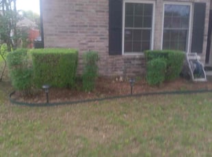 Bush Trimming by Brian Orozco for Crystal Y. in Rockwall, TX