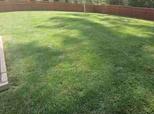 corin g.'s Lawn Care service result