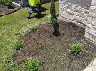 Weeding by Thomas Rodriguez for Macy N. in Kyle, TX