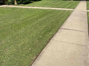 John Y.'s Grass Cutting service result