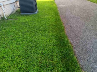 Douglas C.'s Lawn Mowing service result