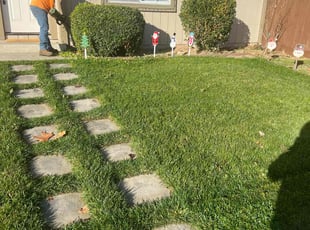 Bush Trimming by Juan Martinez for Nicholas C. in Tracy, CA