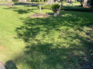 Frank B.'s Lawn Mowing Service service result