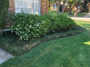 Weeding by Michael Gill for Rick B. in Flower Mound, TX